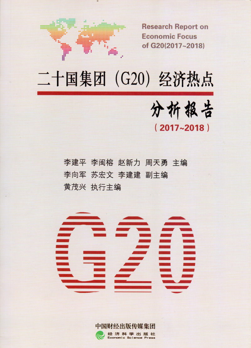 不要插二十国集团（G20）经济热点分析报告（2017-2018）